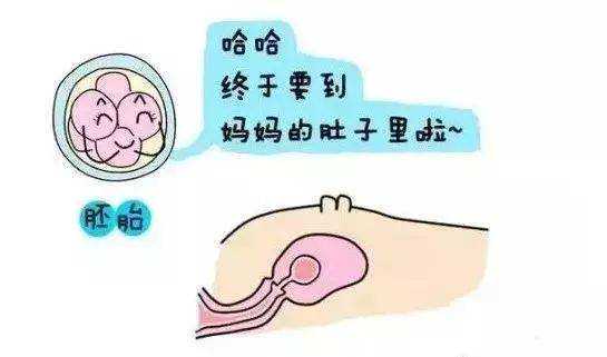 2026杭州助孕生女孩多少钱？杭州试管助孕选择性别详解